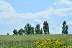 biei040