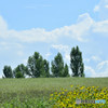 biei040