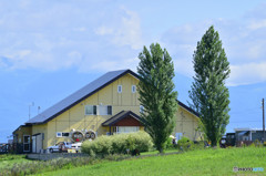 biei039