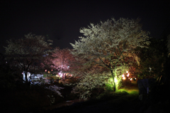夜桜... 生名ロマン街道