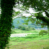 木陰で涼... 勝浦川...