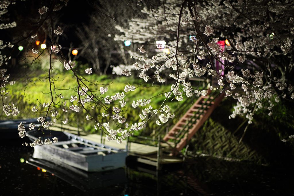 夜桜...ひっそりした舟乗り場...
