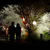 夜桜のロマン... 生名ロマン街道...