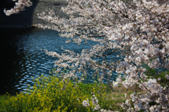 清流と戯れる...