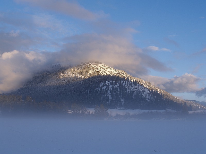 Misty Mountain