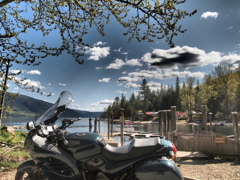 Triumph trophy 900 at Mabel Lake 