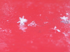 Sunow Flake