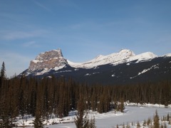 P1213676