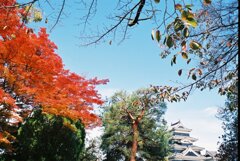 紅葉と国宝