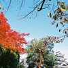 紅葉と国宝