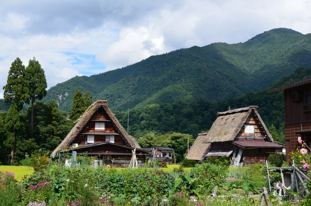 夏の空と森と合掌造り
