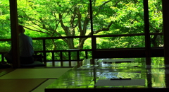 瑠璃光院