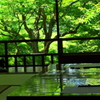 瑠璃光院