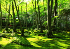 祇王寺