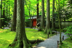 三千院