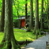 三千院