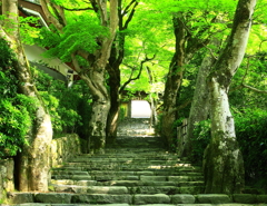 寂光院
