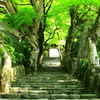 寂光院