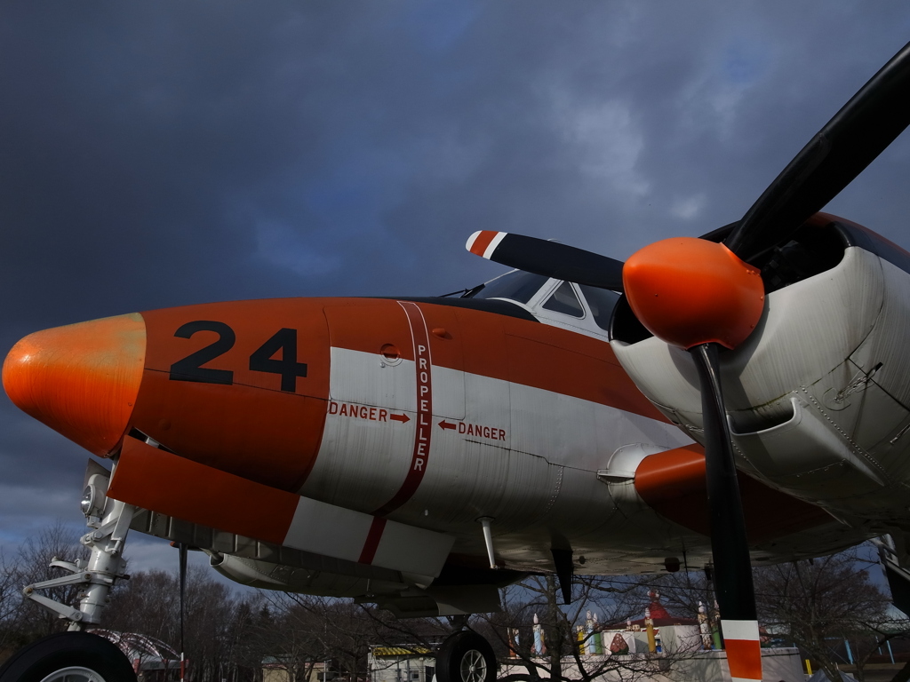 かつては大空を…