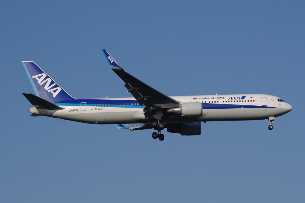 早朝成田ANA B767