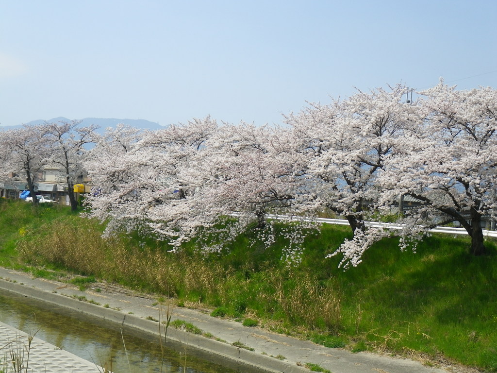 IMGP0225