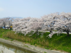 IMGP0225