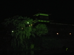 IMGP0341
