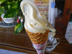 IMGP0065