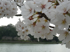 IMGP0301