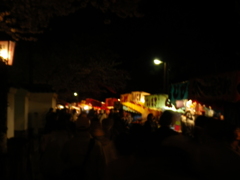 IMGP0323