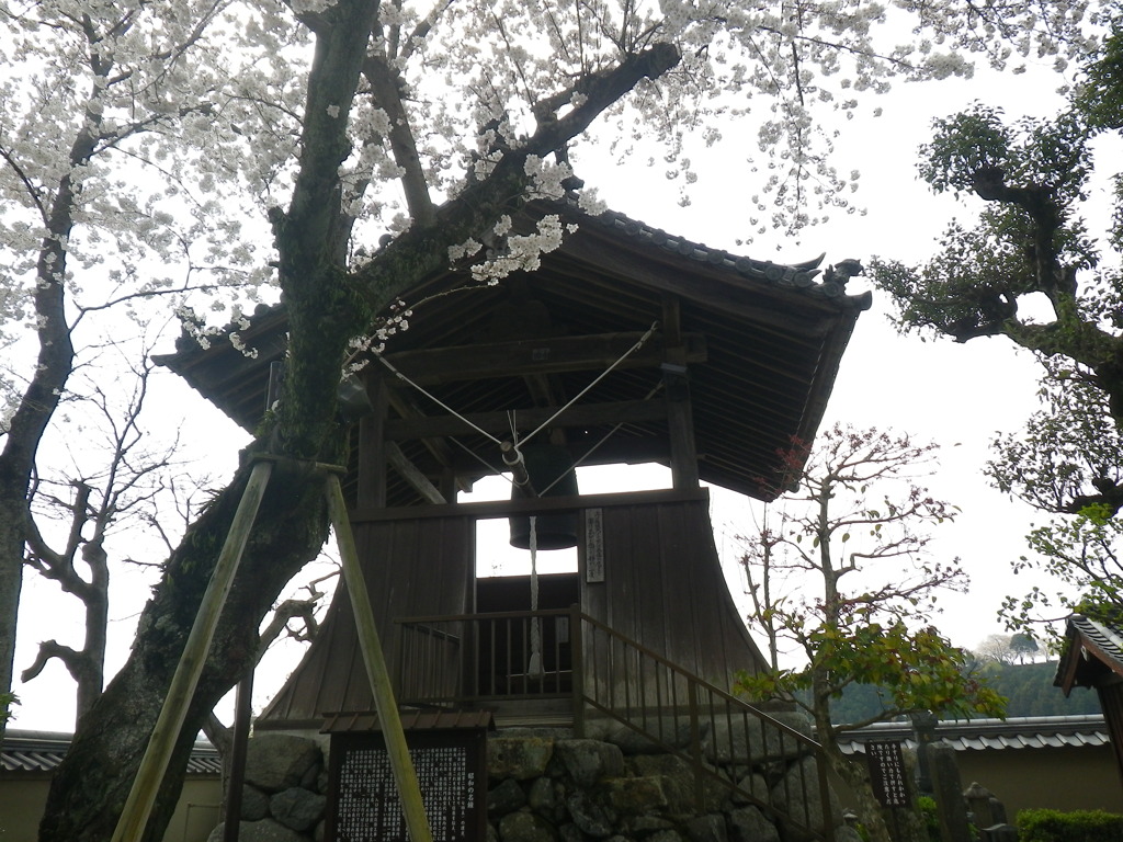 IMGP0267