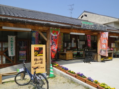 IMGP0249