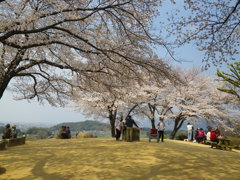 IMGP0262