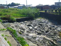 IMGP0046