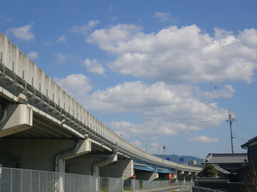 IMGP0026