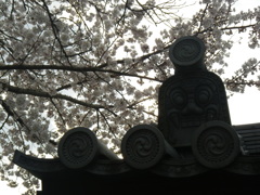 IMGP0275