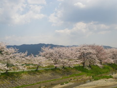 IMGP0245
