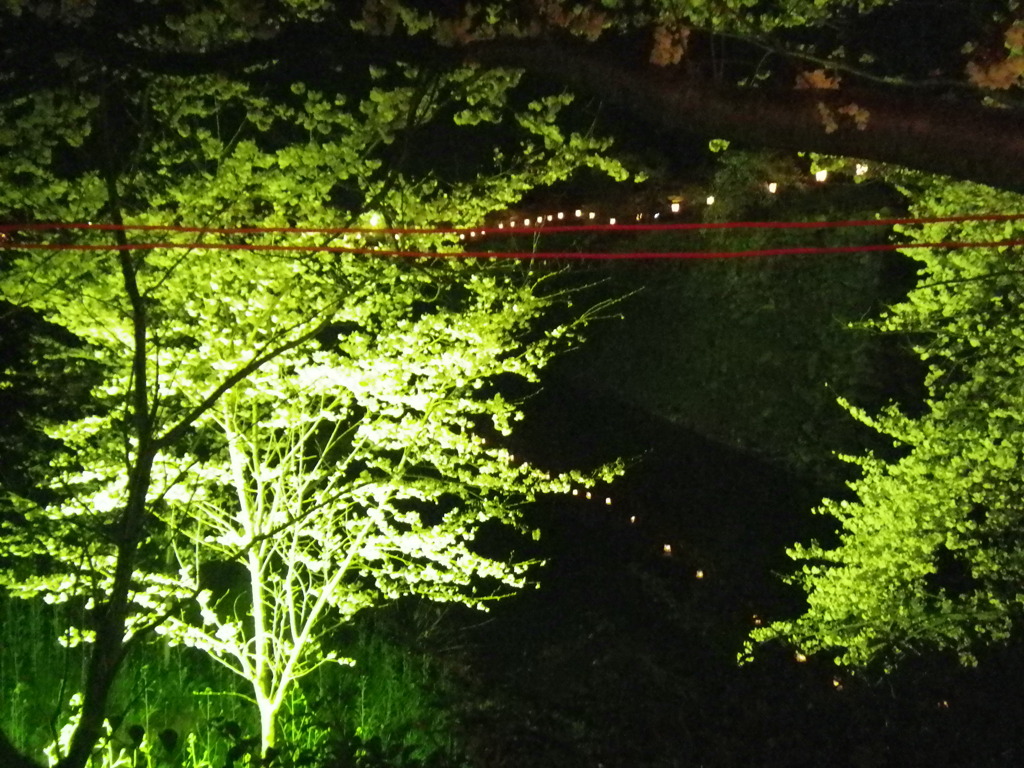 IMGP0325