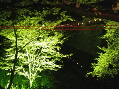 IMGP0325