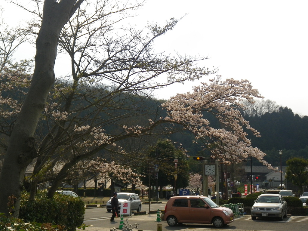 IMGP0292