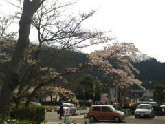 IMGP0292
