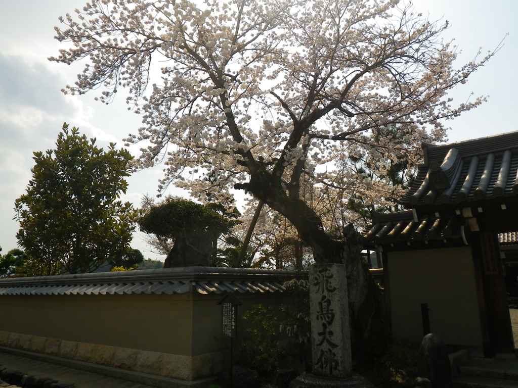 IMGP0266
