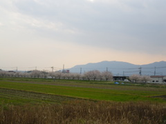IMGP0307