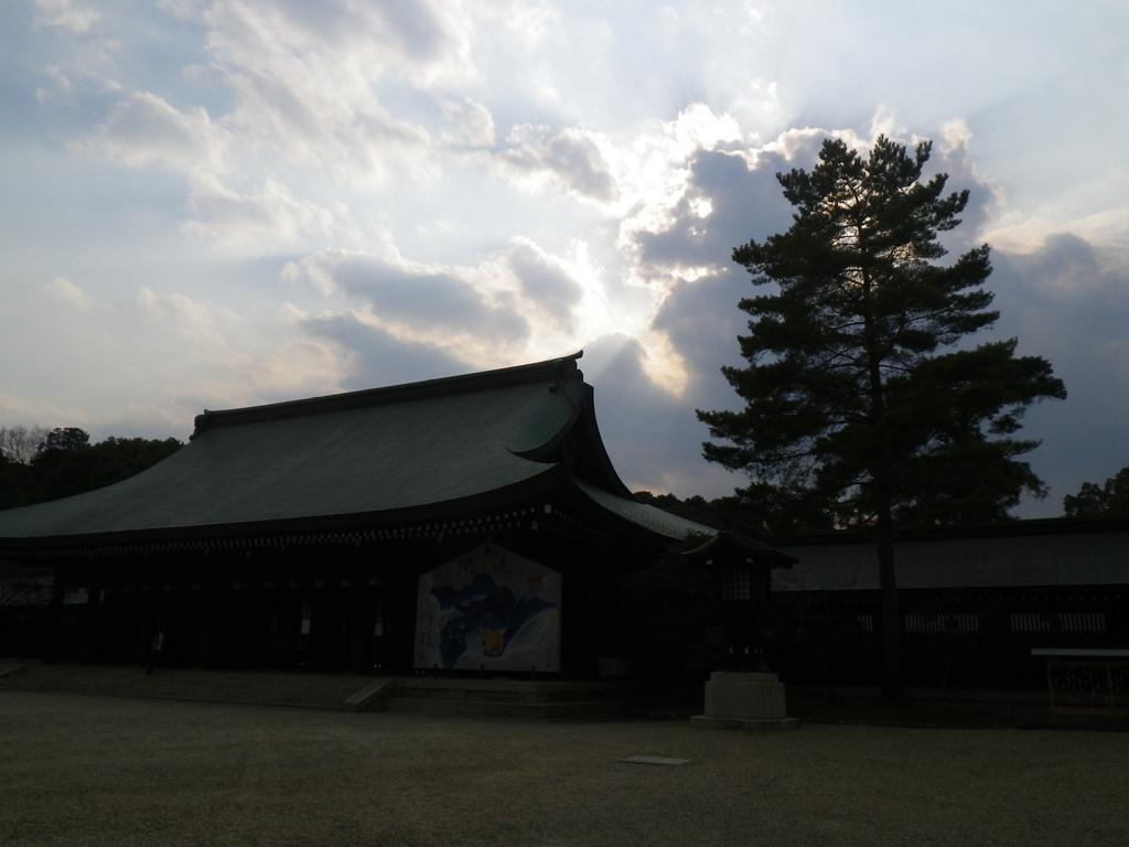 IMGP0298