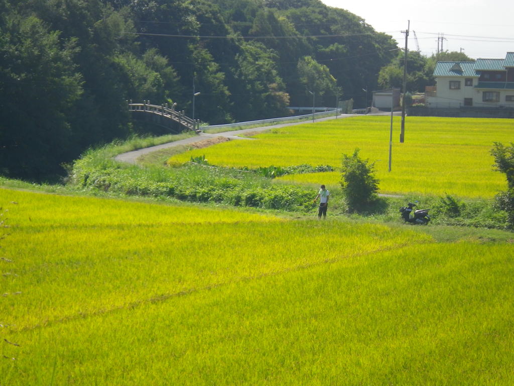 IMGP0010