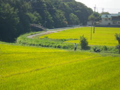 IMGP0010