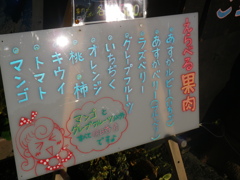 IMGP0078