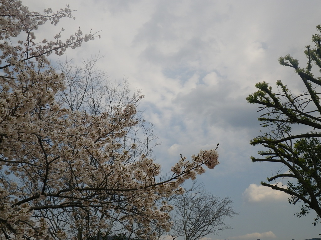 IMGP0258