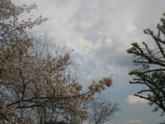 IMGP0258