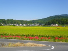 IMGP0060